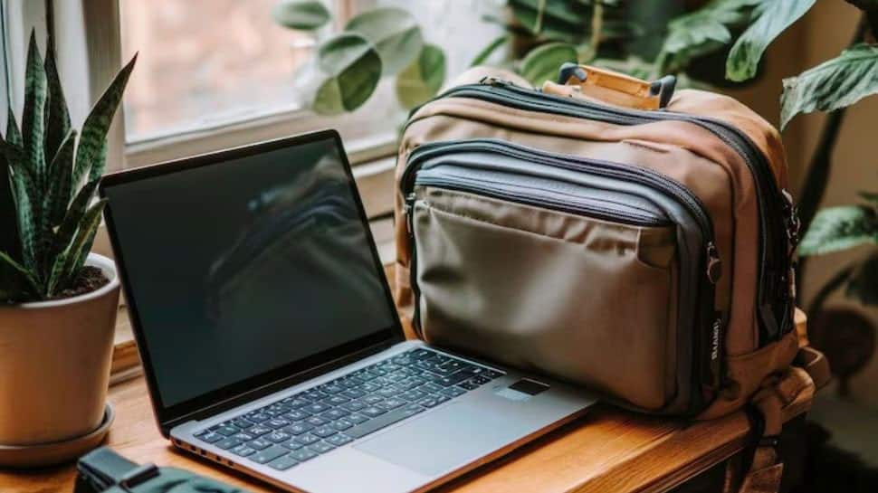 Rs 32K Bag That's Equivalent To Monthly Rent For Most Indian Metros: CEO Explains Frenzy Behind Purchasing Such Cabin Bags