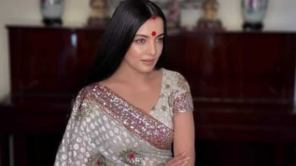 Celina Jaitly Alleges Husband Forced Her To Abandon Acting Career And Subjected Her To Racist Abuse, Seeks Compensation