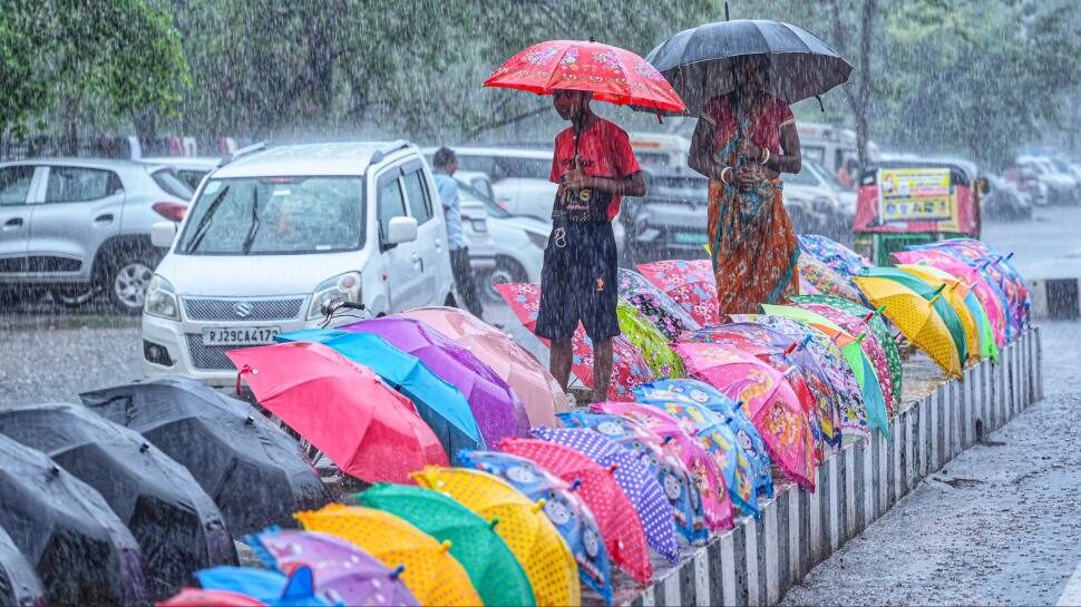 Jaipur Rain & Yellow Alert: IMD Warns Of Showers In 9 Districts, Severe Cold Wave Looms In Rajasthan