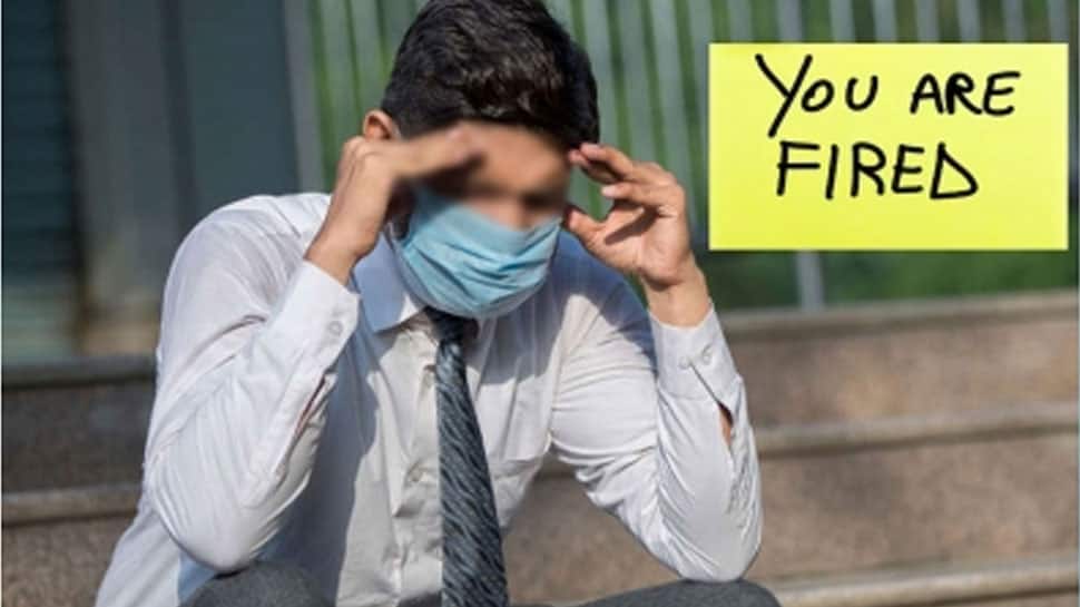 Redditor Alleges He Was Sent Immediate Termination Notice After Disagreement With Boss