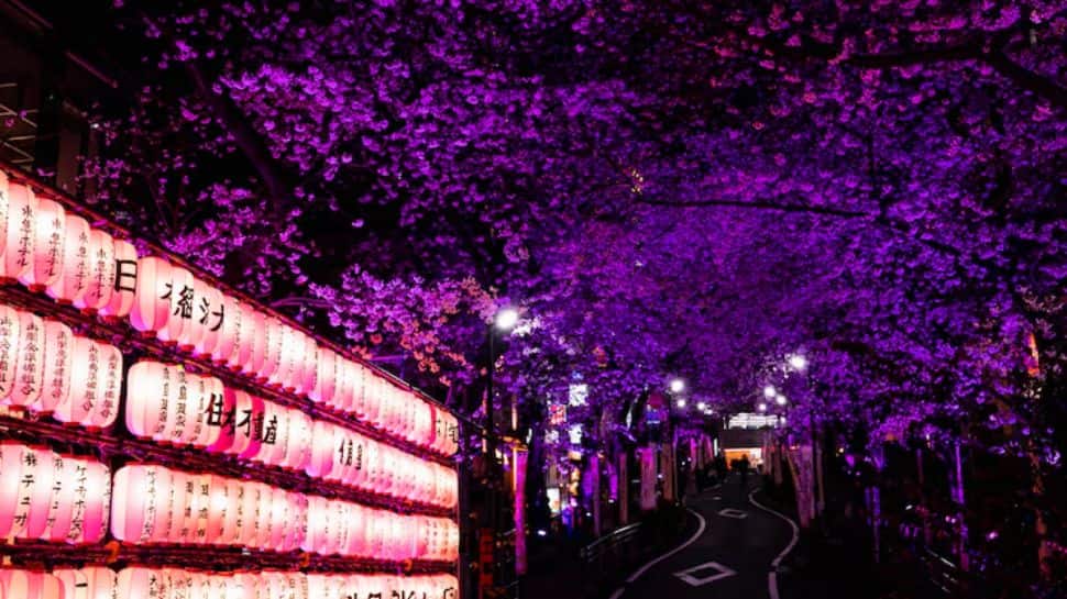 Tokyo, Japan