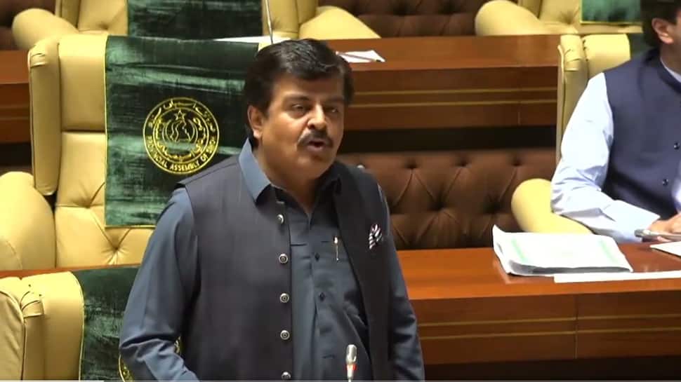 Pakistan Minister Counters Rajnath Singh, Says Sindh Can Claim Raj, Guj, Har