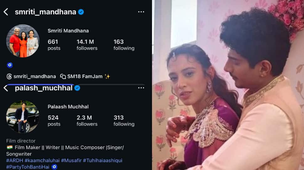 Smriti Mandhana And Palash Muchhal Cryptically Reacts For The First Time After Wedding Postponement Amidst Cheating Rumours; Check Here