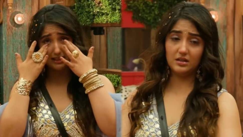 Bigg Boss 19 Update: Salman Khan Backs Tanya Mittal Over Heated Brawl, EVICTS Ashnoor Kaur, Cites 'Intentional' Hit