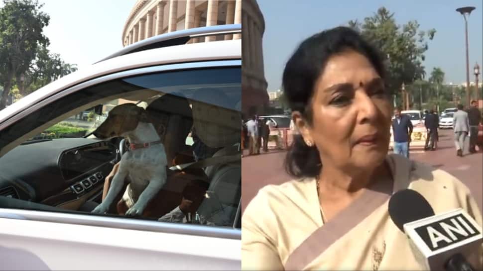Renuka Chowdhury Enters Parliament With Dog, Sparks Row With Remark ‘Those Who Bite Sit Inside’ | Video