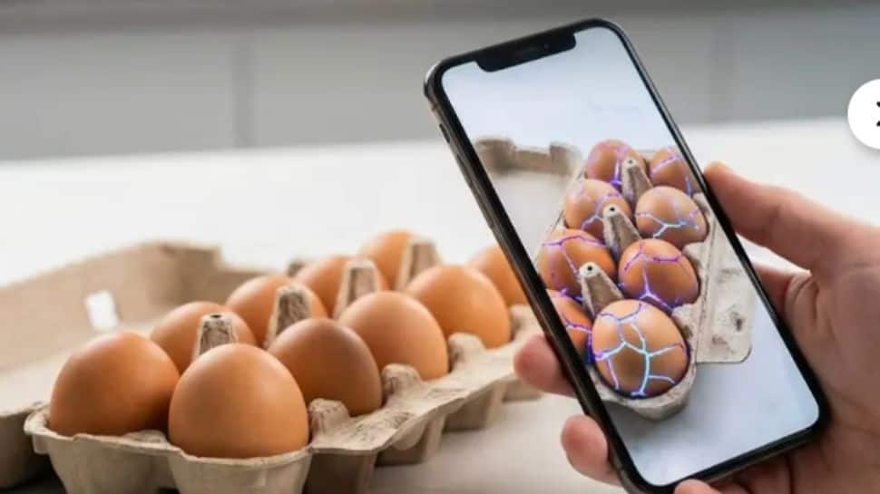 Customer Uses Gemini Nano To Crack 20 Eggs Straight In A Tray, Gets Refund Fr