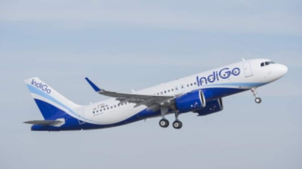 IndiGo Receives Rs 117.52 Crore Penalty Over Input Tax Credit Denial