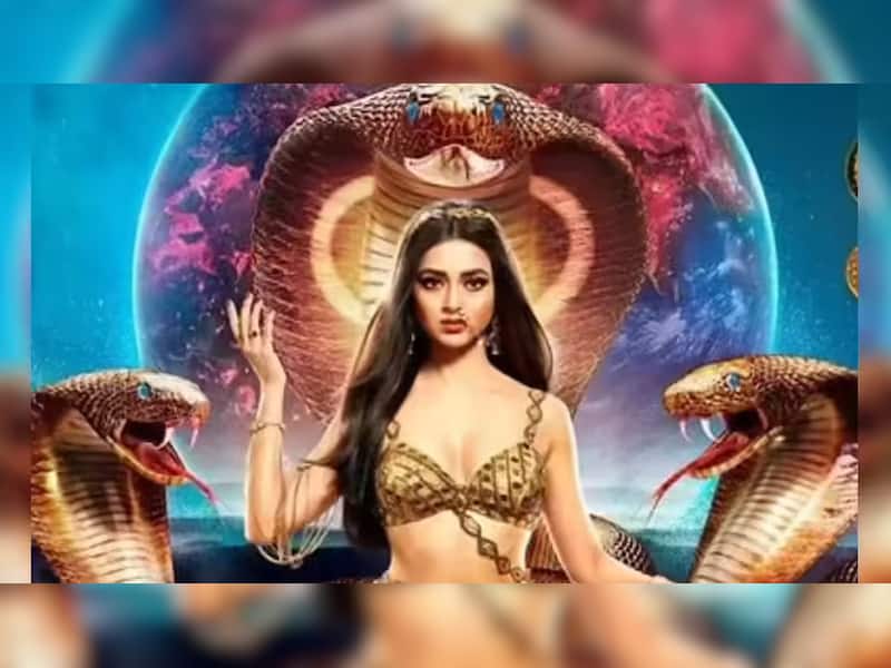 Tejasswi Prakash's Earnings