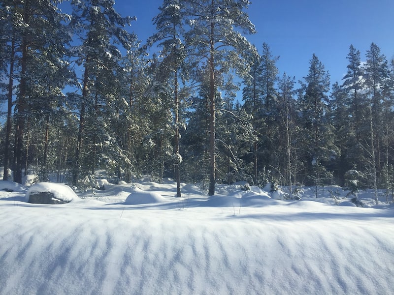 (Photo source: X/@andersenetjarn)