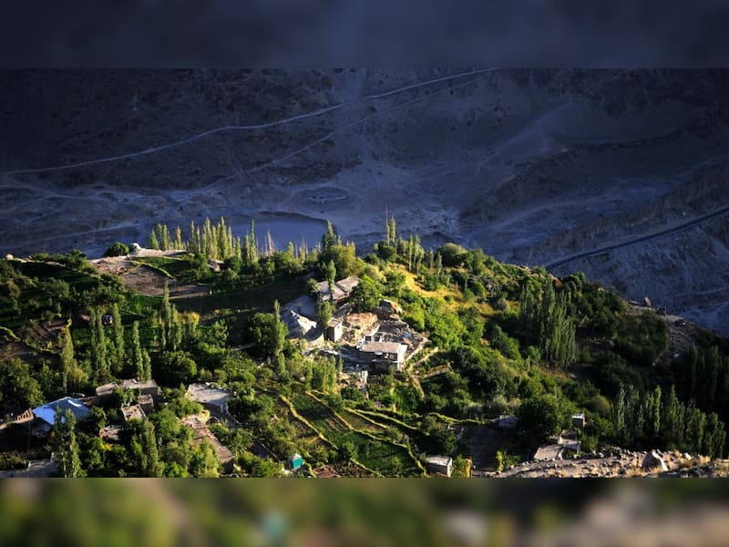 The Social Secret Of Collective Care 