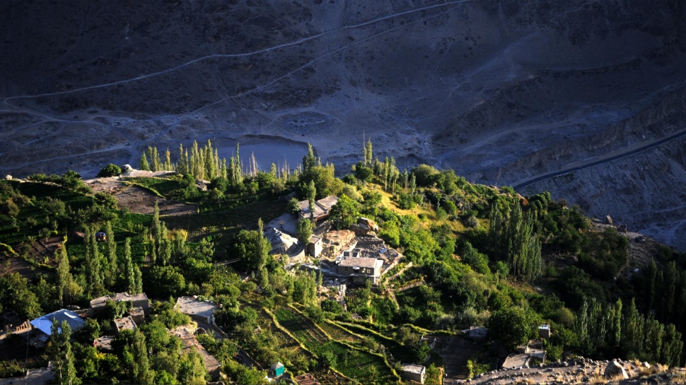 The Social Secret Of Collective Care