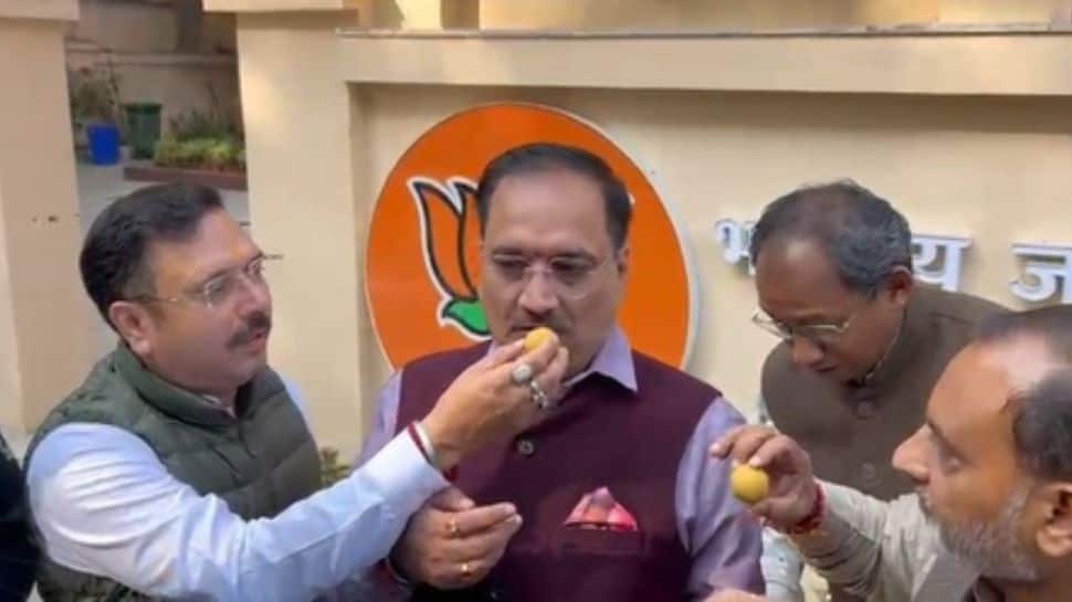 Delhi MCD Bypolls Result: BJP Secures Majority By Winning 7 Of 12 Wards, AAP Gets 3