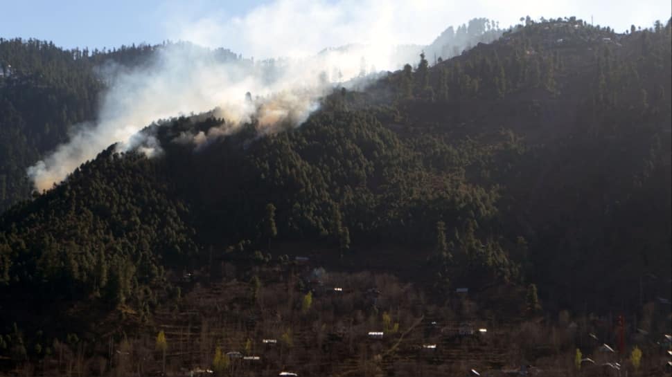 Week-Long Hunt Fails To Capture Roaming Black Bear; Panic Spreads In Srinagar Outskirts