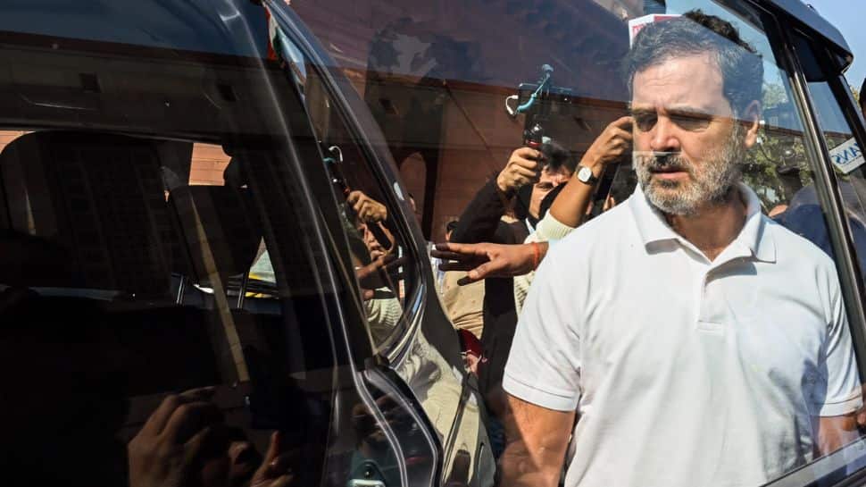 Rahul Gandhi`s Serious Allegations Regarding Putin`s Visit: Government Not Allowing Opposition To Meet Foreign Delegations