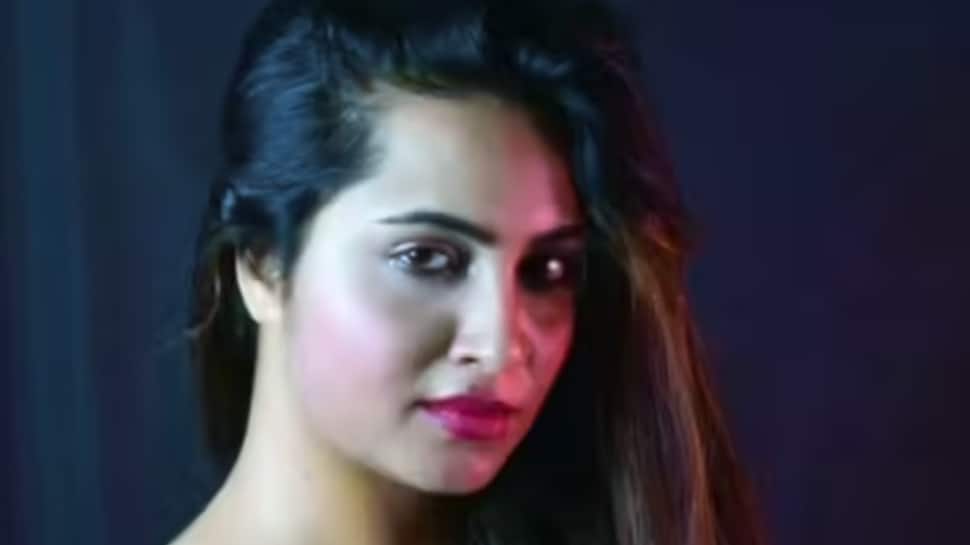Arshi Khan to Marry Afghan Cricketer Aftab Alam? Wedding Likely in Early 2026