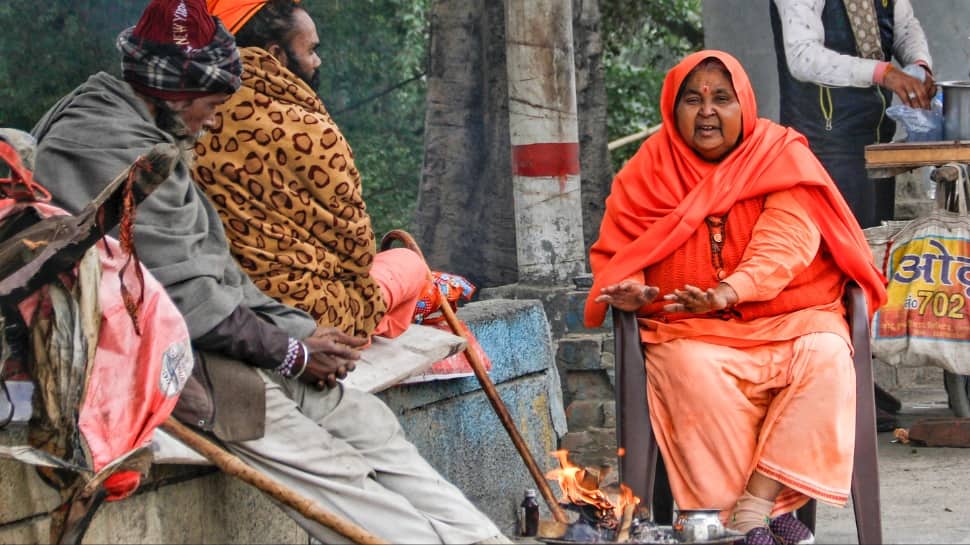 Cold Wave & Snowfall Warning: IMD Issues Yellow Alert For Punjab, Jharkhand; Srinagar Hits -4 Degrees Celsius As Himalayas See Fresh Snow