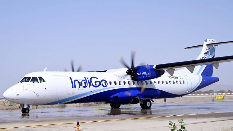 IndiGo Crisis: How To Check Your Live Flight Status Online Amid Mass Cancellations | Step-By-Step Guide