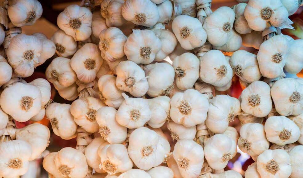 Winter immunity foods, winter diet hacks, foods to boost immunity, cold weather nutrition, immunity-