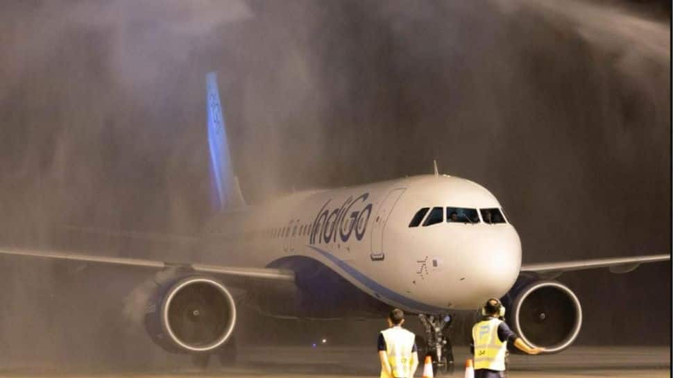 Indigo Airlines Chaos: High-Level Crisis Management Group Formed To Handle Massive Flight Delays, Cancellations