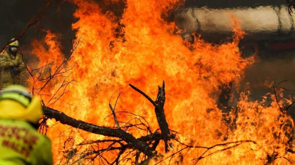 Bushfire Ravages In Australia`s Tasmania, Dozens Of Homes Destroyed