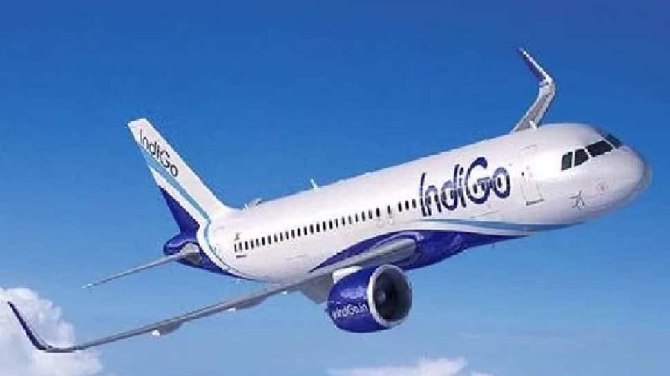 IndiGo Shares Sink Over 6.5% Amid Ongoing Flight Disruptions