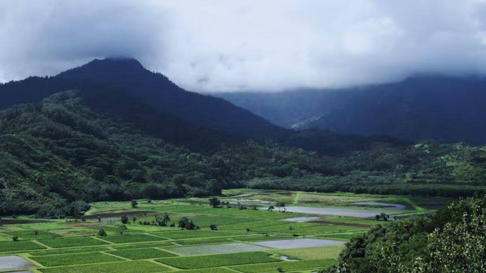 Ziro Valley, Arunachal Pradesh – The Serene Pine Haven