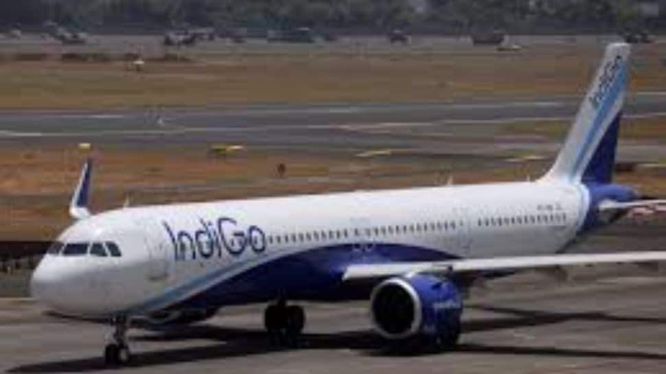 IndiGo Disruptions May Cause Revenue Loss, Penalties To Company: Report