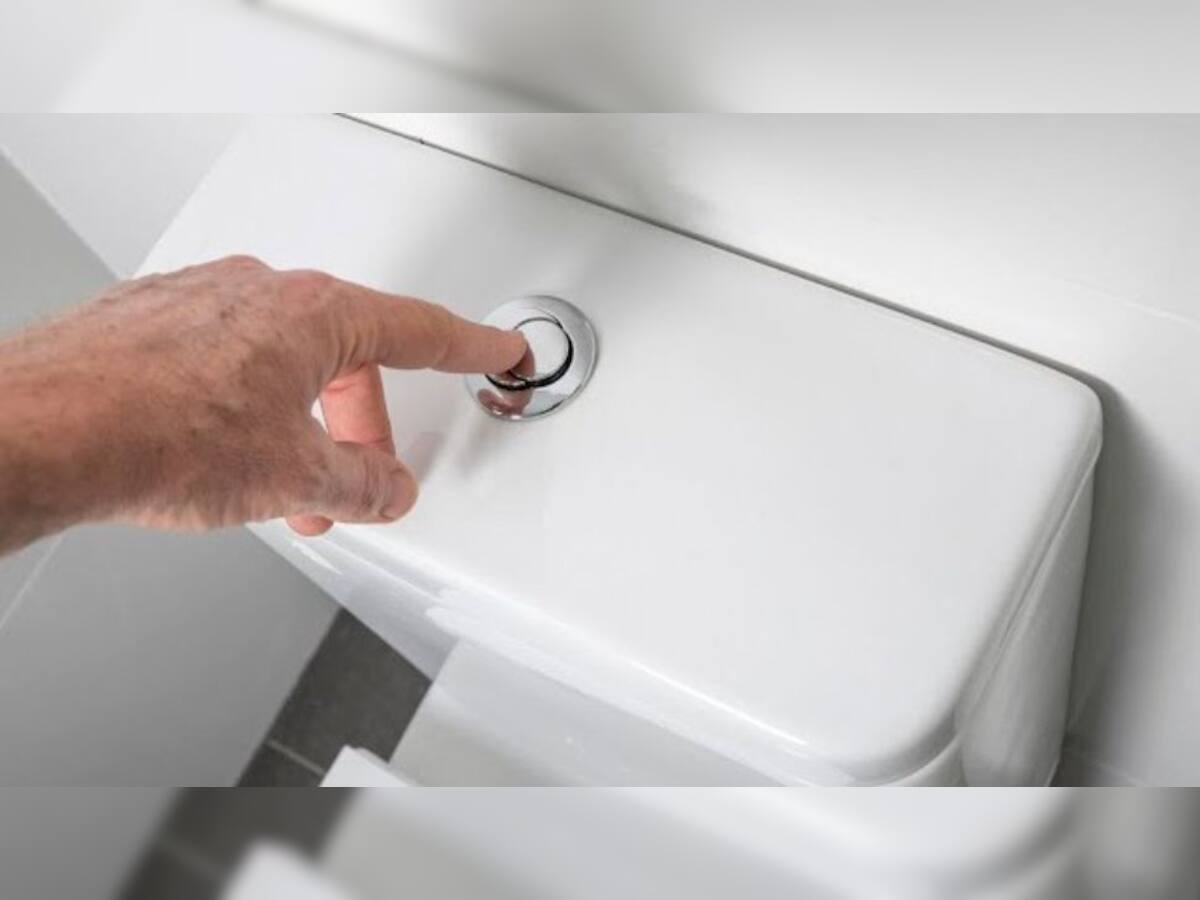 One Press, Huge Savings: The Science Behind Two-Button Toilet Flushes ...
