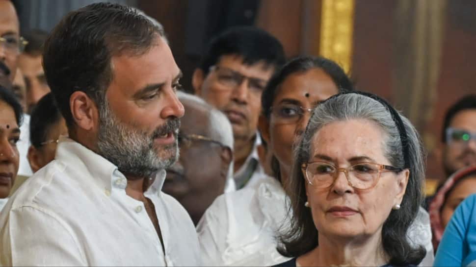 Sonia Gandhi`s Birthday: Was Rahul Gandhi Caught Screaming At His Mother In Father`s Presence? Watch Shocking Eyewitness Account | VIDEO
