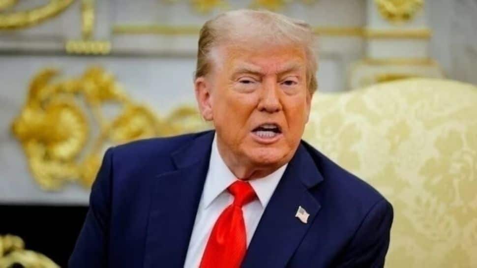 ‘Too Cheap For America’: Trump Threatens New Tariffs On Indian Rice – Could This Hit Farmers Hard?