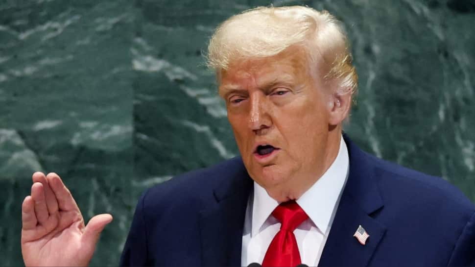 H-1B Holders Stranded Abroad As US Consulates Cancel Interviews Over Vetting Backlog, Check Guidelines For Indians