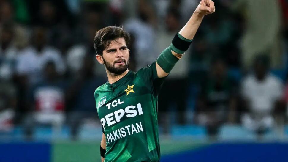 Shaheen’s Triple-Format Success Shaheen’s Triple-Format Success