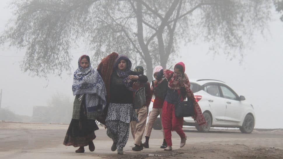 IMD Issues Alert As Cold Wave, Dense Fog Grips Multiple States- Check Full Forecast