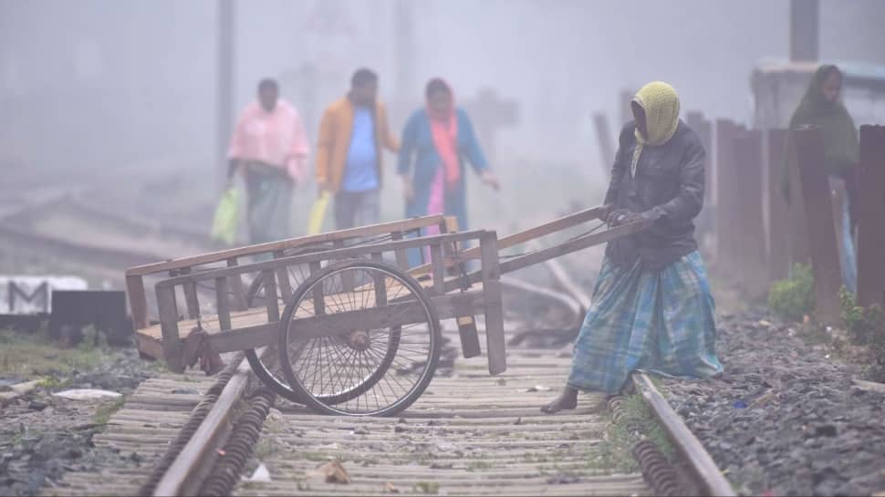 Cold Wave Sweeps India: Kashmir Records Sub-Zero Temperature; Yellow Alerts Issued By IMD Across Central States