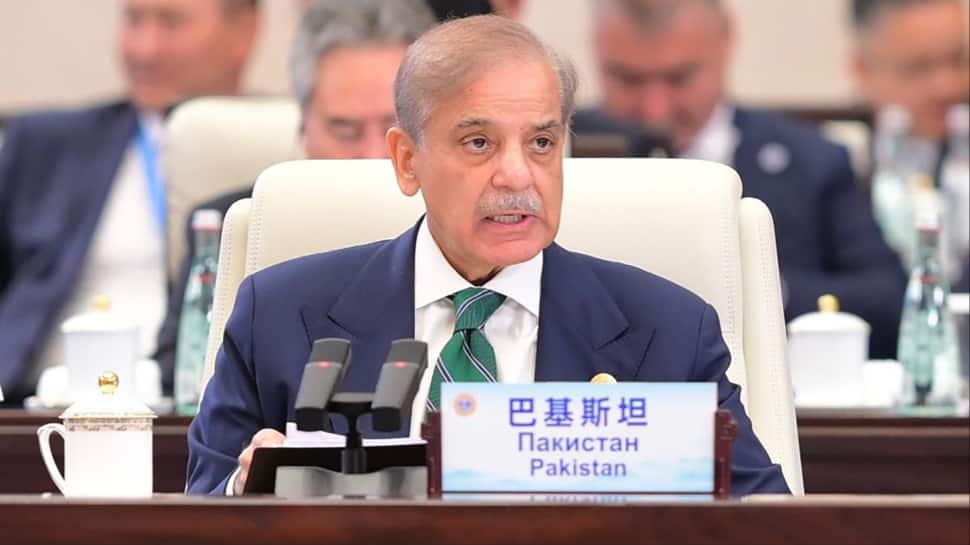 Video: Pakistan PM Gatecrashes Putin-Erdogan Closed-Door Talks After 40-Minute Wait