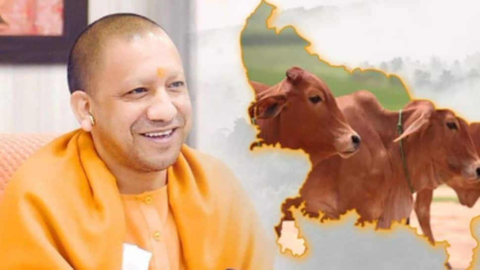 CM Yogi-Led UP Govt's Nandini Krishak Samriddhi Yojana Empowers Dairy Farmers, Promotes Indigenous Cows