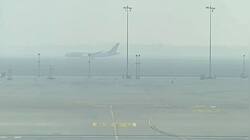 Toxic Fog Chokes Delhi, Zero Visibility Grounds 228 Flights