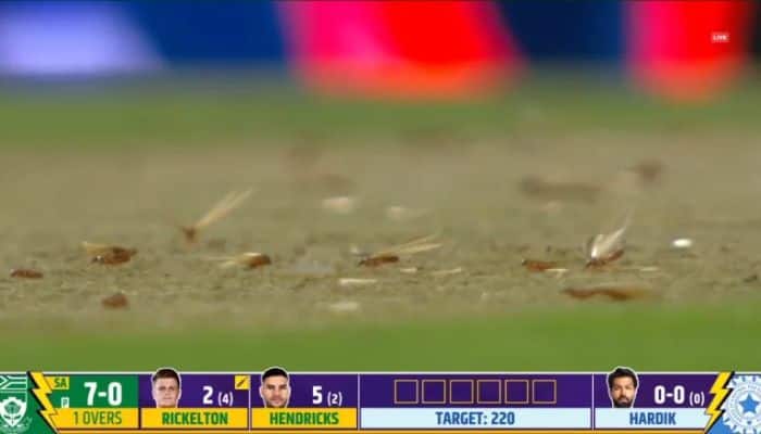9. Ants Covered the Pitch