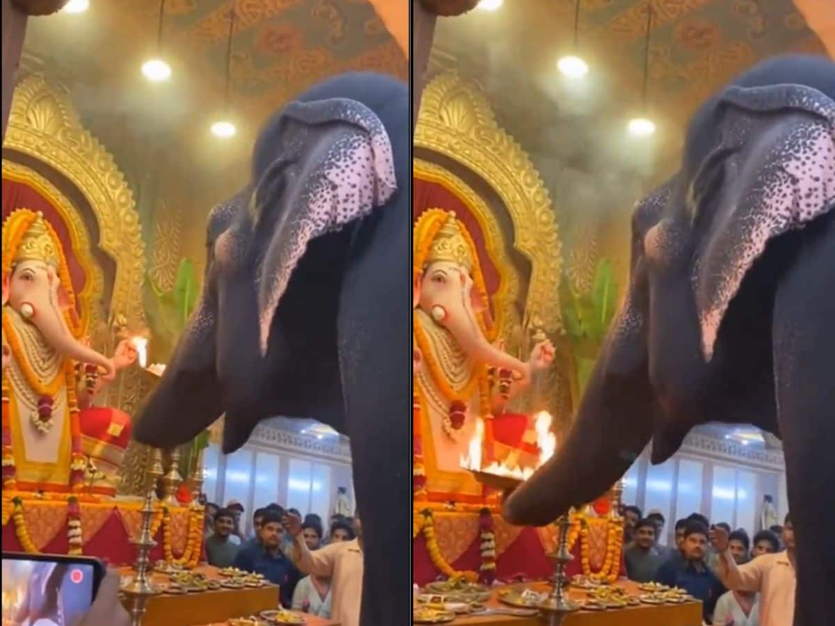 Viral Video Shows Elephant Performing Ganesha Aarti, Netizens Netizens Divided
