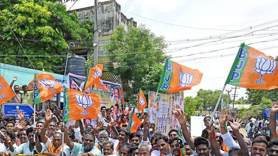 Maharashtra Local Body Election Results 2025: Mahayuti Takes Massive Lead, BJP Emerges as Single Largest Party, MVA Trails Far Behind