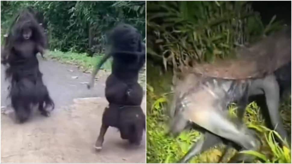 Meet 1.2M 'Anarchists' Who Haven't Cut Their Hair Since 1700s | SHOCKING VIDEO