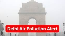Delhi Air Pollution: How Toxic Air Harms Your Entire Body, Not Just Lungs