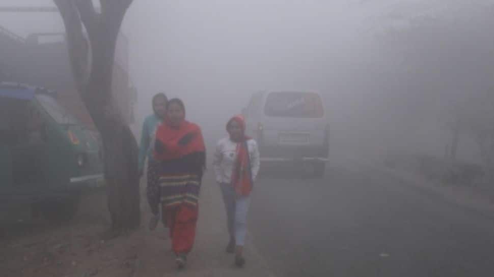 Ooty Shivers As Temperature Dips To -1 Degrees Celcius; Tourist Entry Banned Near Kamaraj Sagar Dam