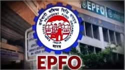 EPF Rules 2025: Left Your Job? Here’s What Happens To Your PF Interest