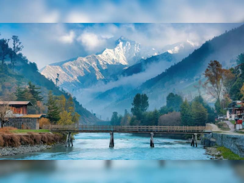 Best place for a christmas show