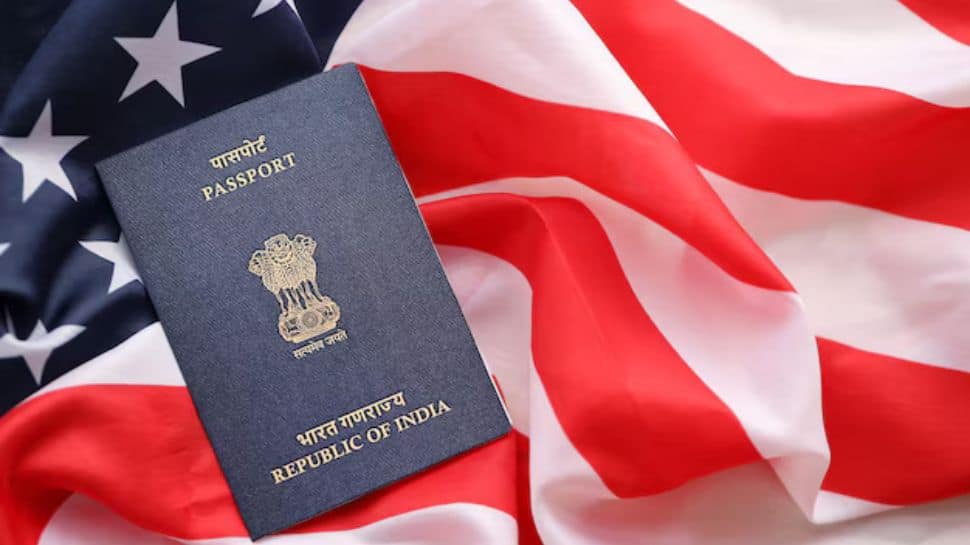 India Actively Engaged With US Over H-1B Visa Delays: MEA