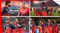 8 Reasons Why RCB Were Destined To Win IPL 2025: 18 Years Wait & More - Check