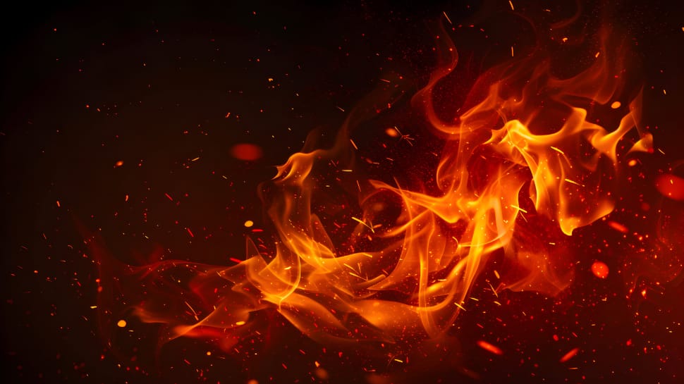 Andhra Pradesh Train Tragedy: Fire Breaks Out On Tata-Ernakulam Express Near Elamanchili, One Dead