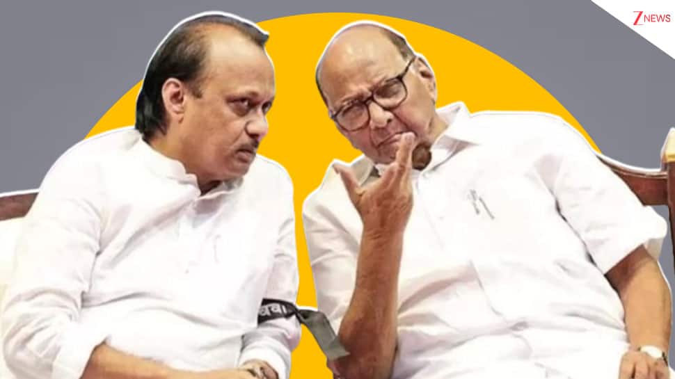 `Chacha Bhatija` Duo Back On Stage Together As Ajit Pawar Announces Alliance With Uncle Sharad For Local Polls