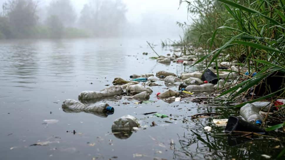 Indore Water Crisis: What Led To Death Of 7 People, Who Is Responsible, And How Government Responded?